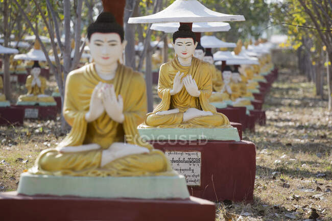 Righe di statue di Buddha, Bodhi Tataung, Monywa, Birmania — Foto stock