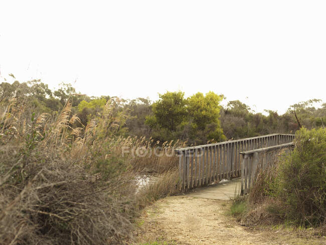 Wooden footbridge across wetlands, Anglesea, Victoria, Australia — Stock Photo