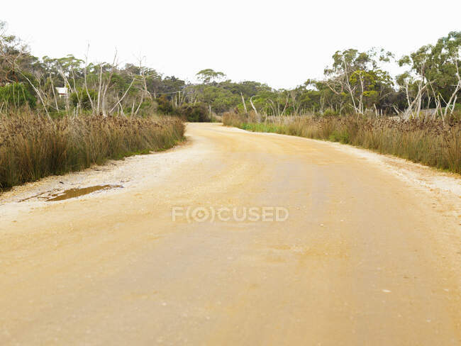 Pista de tierra rural, Anglesea, Victoria, Australia - foto de stock