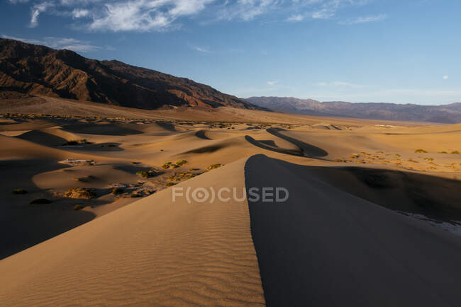 Мескит-Дюны в Дауне, Национальный парк Долина Смерти, Калифорния, США — стоковое фото