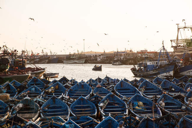 Високий кут огляду малих рибальських човнів, пришвартованих у гавані, Ессау. — стокове фото