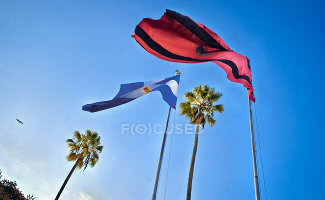 Flags of Argentina and Salta — Stock Photo