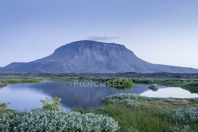 Herdubreid mountain and Herdubreidalindir oasis, sudur-thingeyjarsysla — Stock Photo