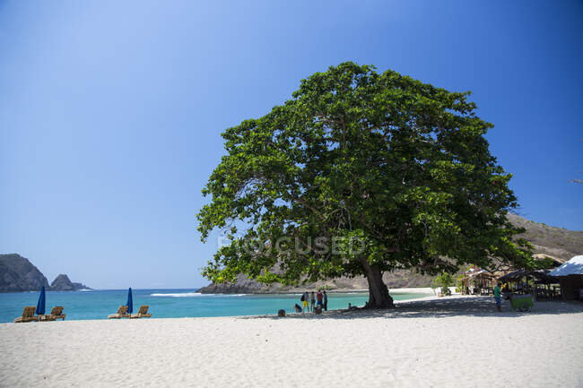 Mawun Beach, Pantai Mawun, Lombok, Indonésia — Fotografia de Stock