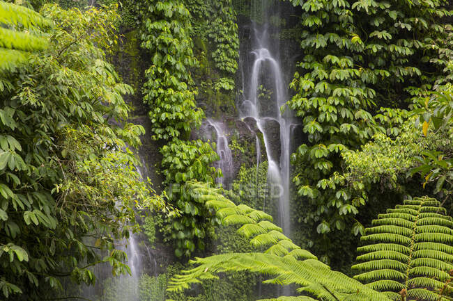 Cascada de Benang Kelambu, Lombok, Indonesia - foto de stock