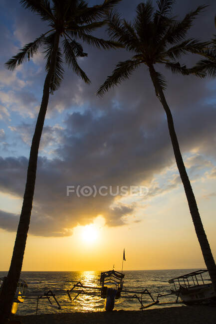 Silhouetted palm trees at sunset on Senggigi beach, Lombok — Stock Photo