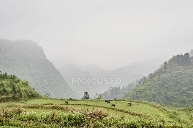 Vista panorámica, Fenghuang, Hunan, China - foto de stock