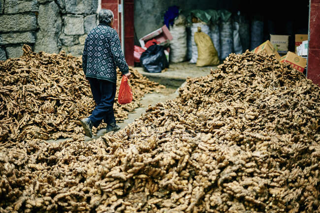 Piles de gingembre à l'extérieur du bâtiment, Fenghuang, Hunan, Chine — Photo de stock