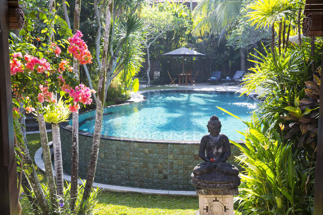 Piscina en complejo tropical, Ubud, Bali, Indonesia - foto de stock