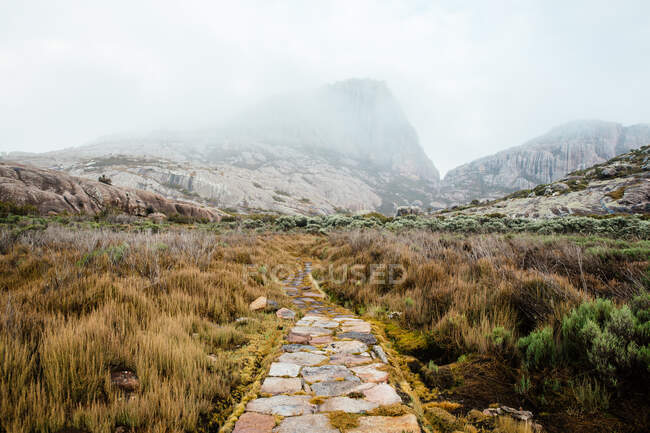 Passerelle et montagnes brumeuses, Pic Boby, Massif Andringitra — Photo de stock