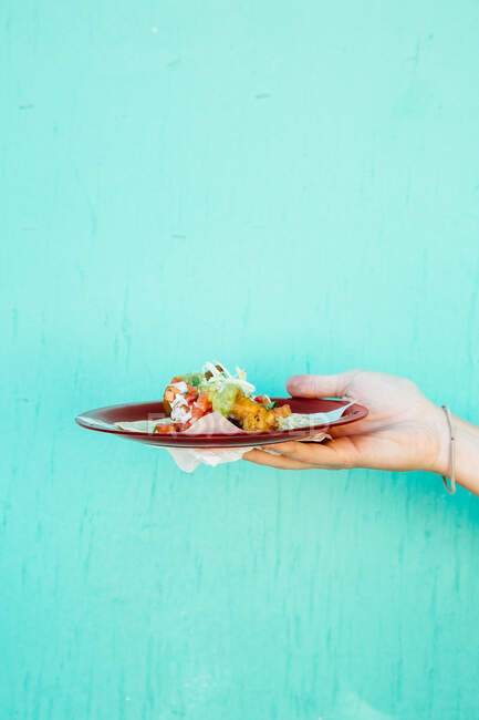 Hand holding plate of fresh fish taco, Ensenada, Baja California — Stock Photo