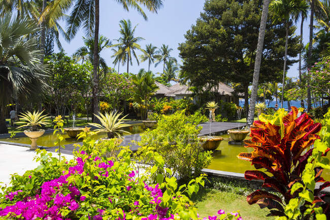 Jardines ornamentales en el complejo tropical, Candidasa, Bali, Indonesia - foto de stock