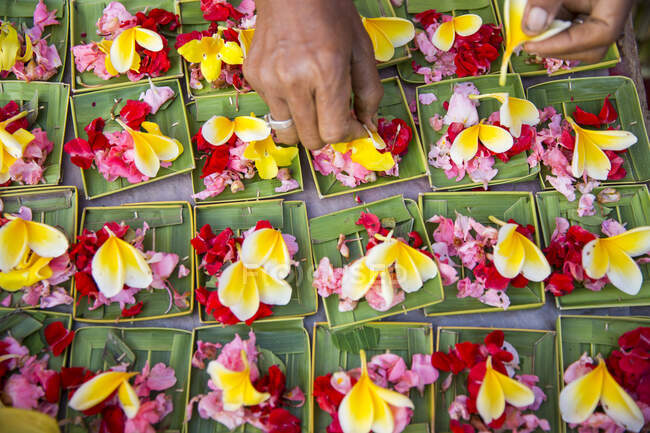 Frau bereitet Blumenopfer, Nahaufnahme, Bali, Indonesien — Stockfoto