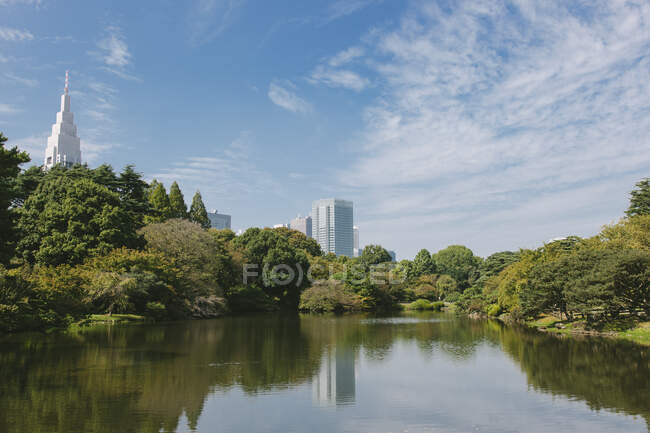 Veduta del lago nel Giardino Nazionale di Shinjuku Gyoen, Tokyo, Giappone — Foto stock