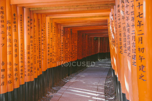 Portes torii orange du sanctuaire Fushimi Inari Taisha, Kyoto, Japon — Photo de stock