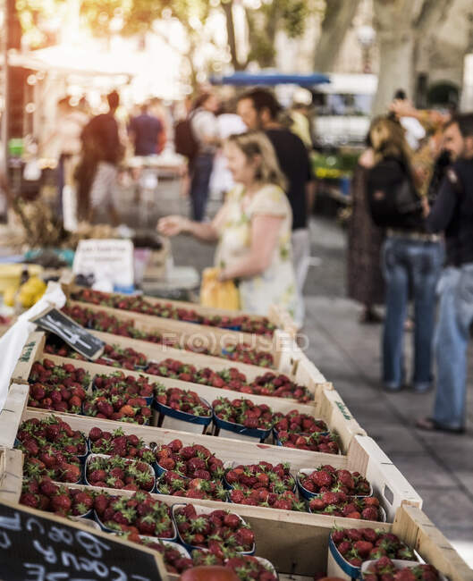 Fraises sur étal de fruits et légumes sur place du marché, Avignon, Pr — Photo de stock