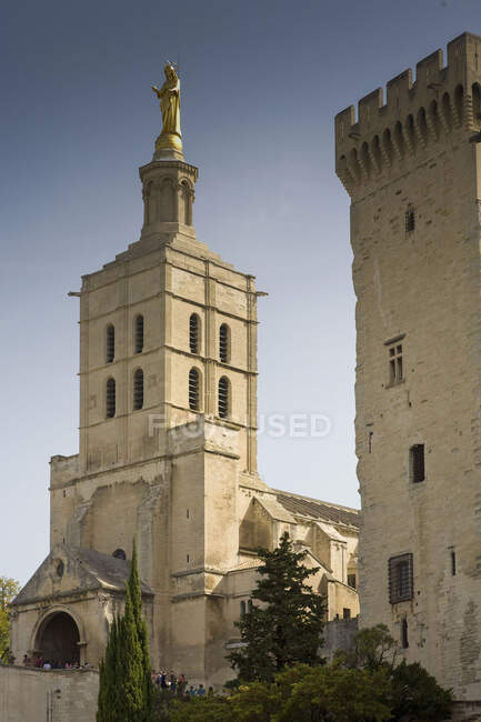 Catedral, Aviñón, Provenza, Francia - foto de stock