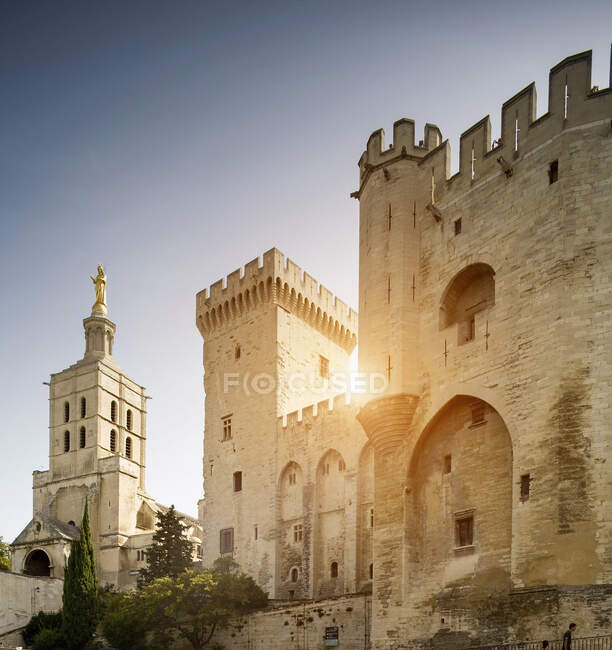 Palast der Päpste und Kathedrale, Avignon, Provence, Frankreich — Stockfoto