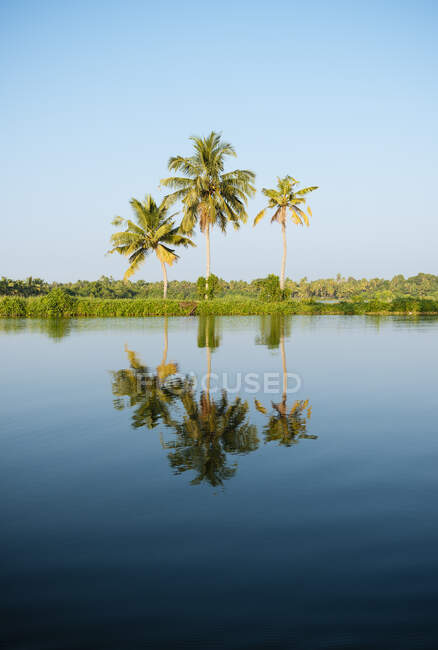 Keralan Backwaters, North Paravoor, Kerala, Indien — Stockfoto