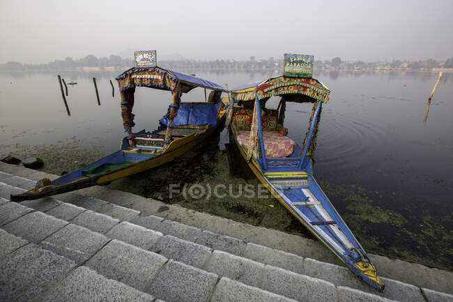 Шикара или Лодка любви знаковое озеро Даль, Шринагар — стоковое фото