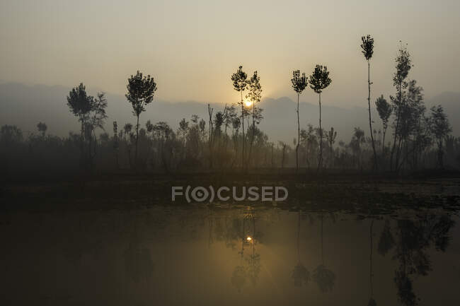 Lago Dal, Srinagar, Jammu y Cachemira, India - foto de stock