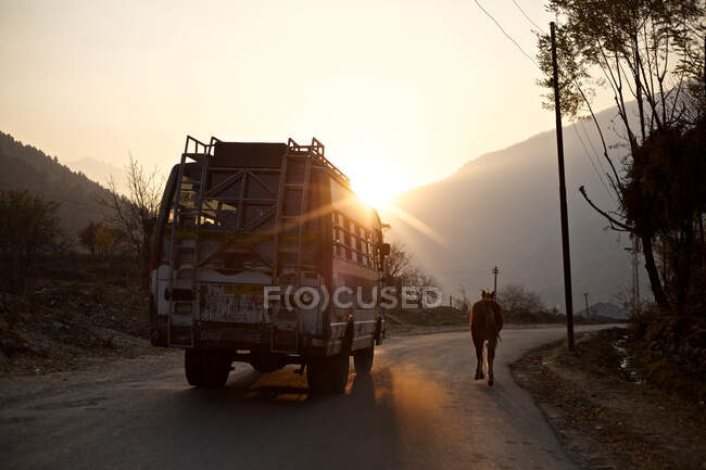 Autobús turístico y caballo por carretera. Valle de Sonamarg, Jammu y Cachemira, - foto de stock