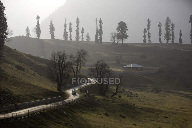 Sonamarg, Meadow of Gold. Thajiwas glaciar. Jammu & Cachemira, Ind - foto de stock