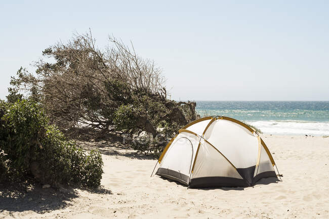 Куполовая палатка на пляже, Ломпок, Калифорния, США — стоковое фото