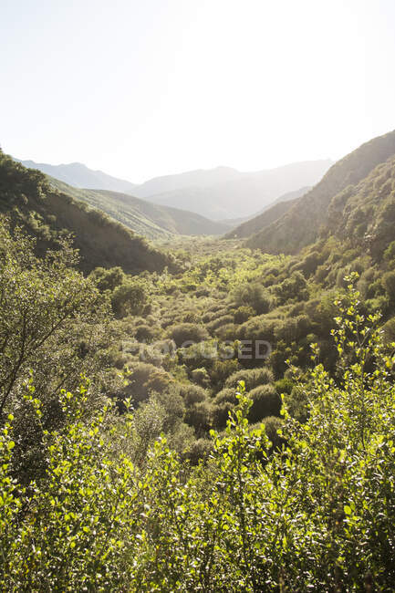Elevated view of green sunlit valley, Ojal, California, USA — Stock Photo