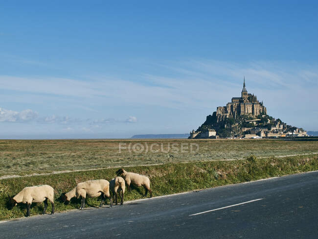 Mont Saint-Michel, Normandia, França — Fotografia de Stock