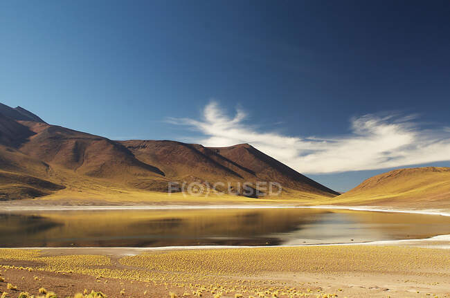 Altiplano, San Pedro de Atacama, Chile — Stockfoto