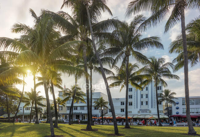 Art Deco Hotels am Ocean Drive und Palmen im Lummus Park, Miami B — Stockfoto