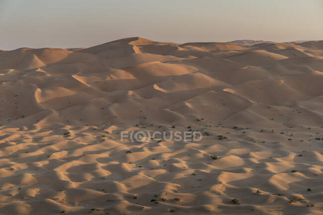 Dune di sabbia nel deserto del quartiere vuoto — Foto stock