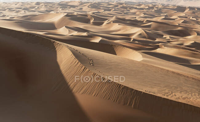 Dunes de sable dans le désert du Quartier vide — Photo de stock