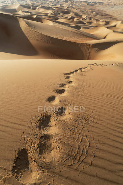 Fußtritte auf Sanddüne in der Wüste des leeren Viertels — Stockfoto