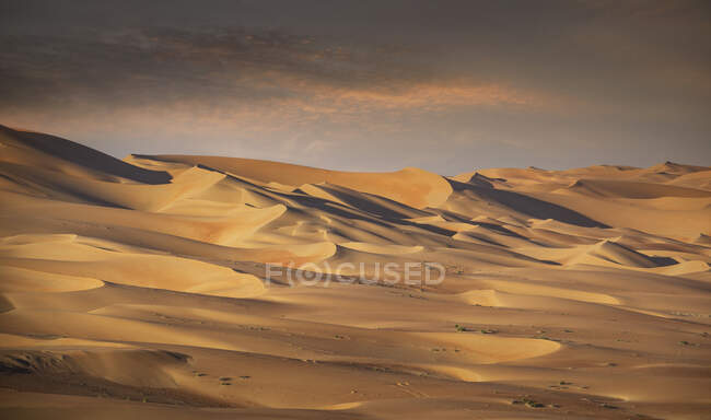 Dunes de sable géantes dans le désert du Quartier vide — Photo de stock