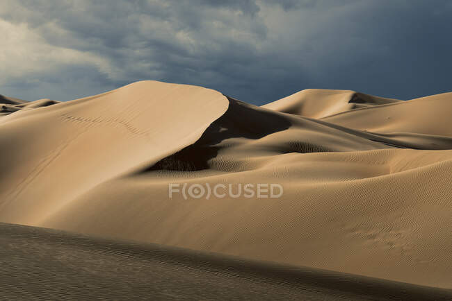 Sanddünen in der Wüste des leeren Viertels — Stockfoto