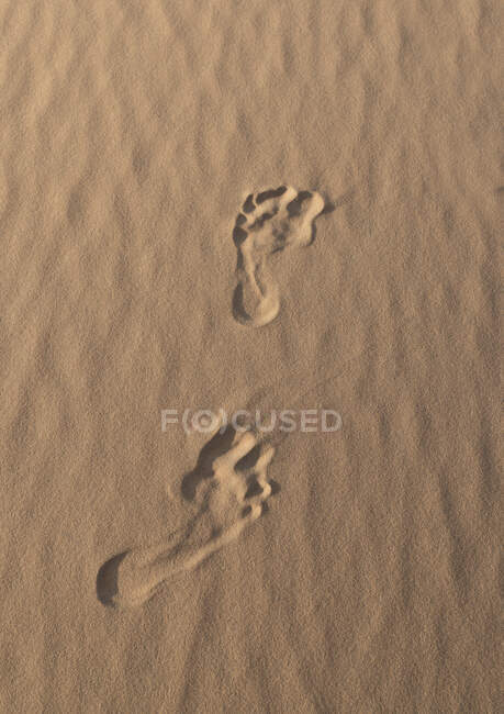 Empreintes de pas dans le sable, gros plan — Photo de stock