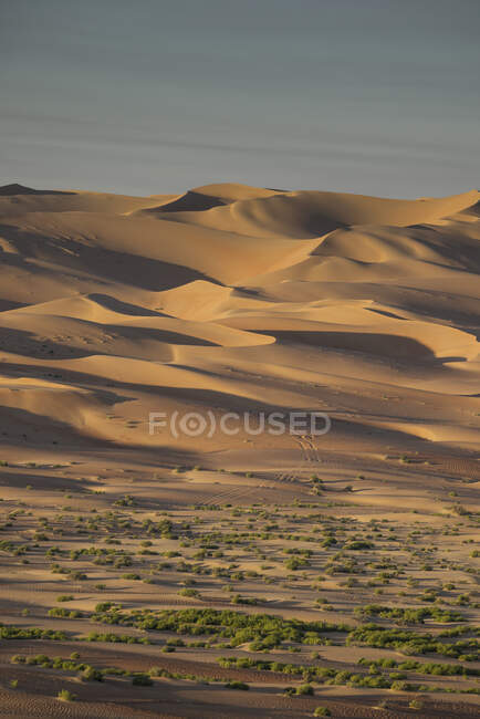 Песчаные дюны в пустыне Пустой квартал — стоковое фото