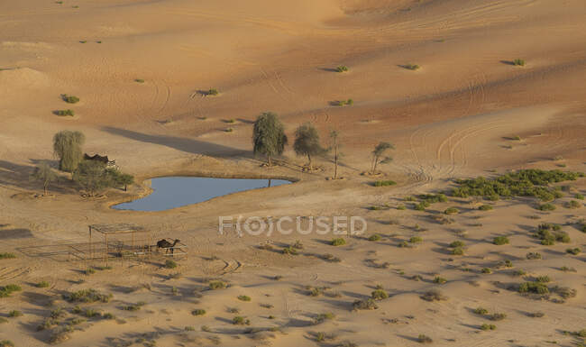 Oasi nel deserto del quartiere vuoto — Foto stock