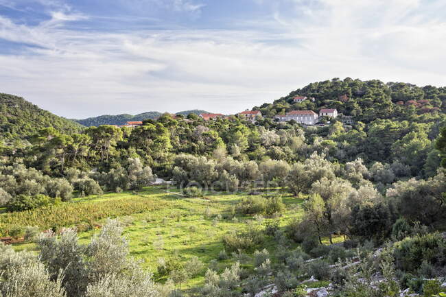 Blick auf die Hügel und das Dorf Govedari auf der Insel Mljet, Kroatien — Stockfoto