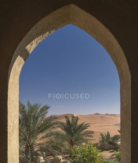 Финиковые пальмы и песчаные дюны в пустыне Пустой квартал — стоковое фото