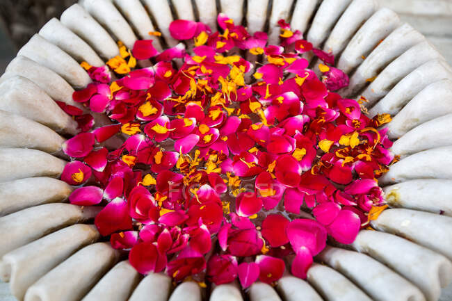 Bowl of pink rose petals, Udaipur, Rajasthan, India — Stock Photo