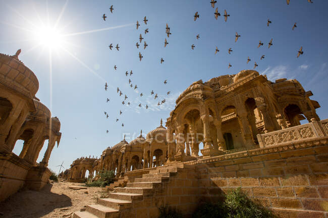 Palomas volando sobre Bada Bagh, Jaisalmer, Rajastán, India - foto de stock