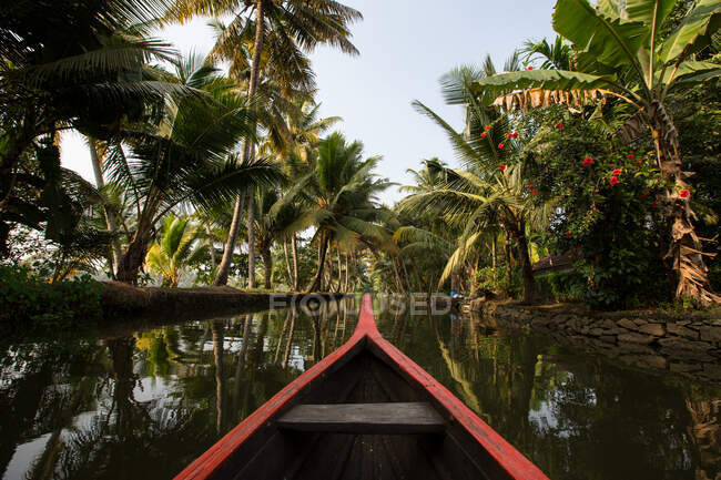 Barco de remos y palmeras en el remanso de Kerala, Kollam, Kerala, - foto de stock