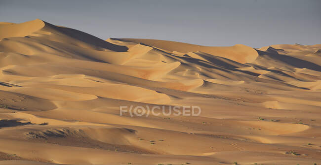 Dunas de arena, Desierto del Barrio Vacío, Abu Dhabi, Emiratos Árabes Unidos - foto de stock