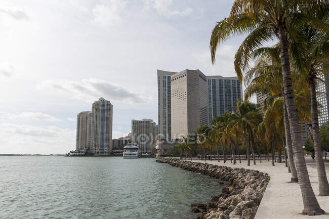 Gratte-ciel sur le rivage, Downtown Miami, Miami, Floride, États-Unis — Photo de stock