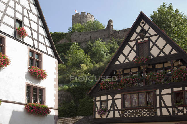 Maisons médiévales et ruines de château en arrière-plan, Kaysersberg, Alsace — Photo de stock