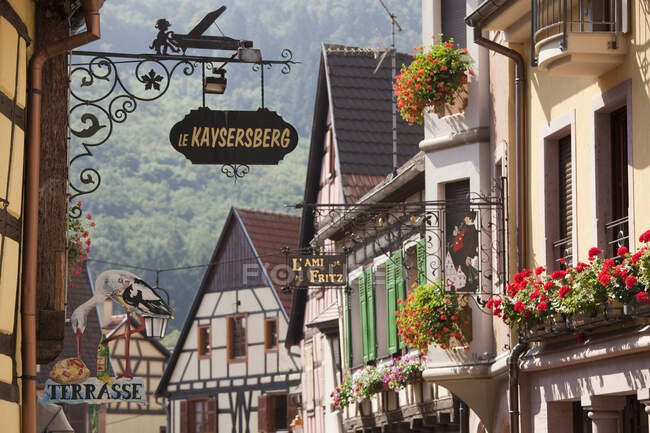Business signage on medieval buildings, Kaysersberg, Alsace, France — Stock Photo