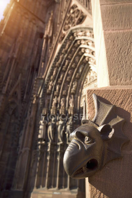 Gárgola en el exterior de la Catedral de Nuestra Señora, Estrasburgo, Francia - foto de stock
